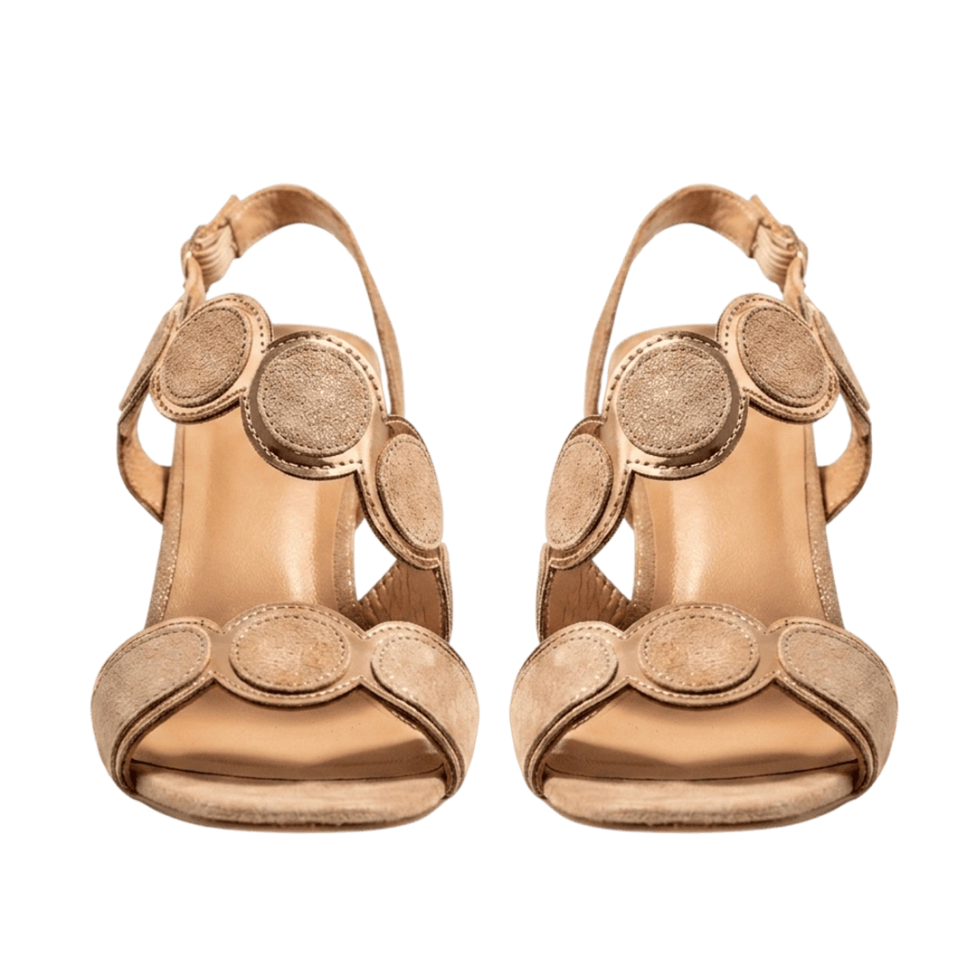 product-gradioraptor
